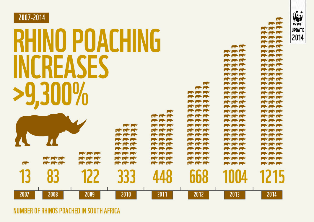 Poaching animals essay