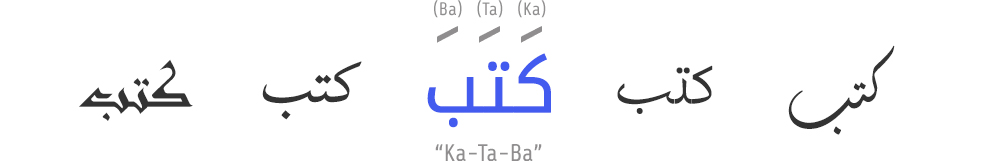 The Arabic root system