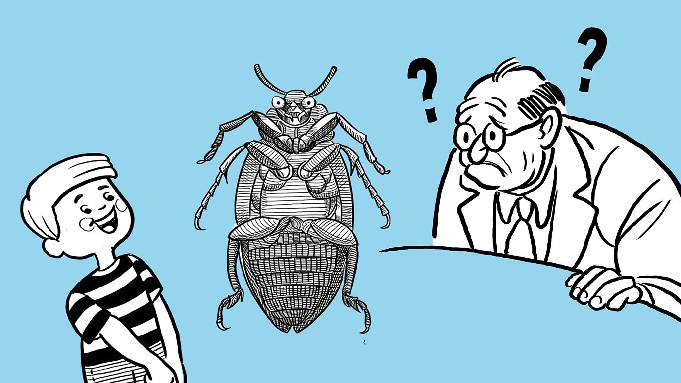 Big Ideas: Knowledge, Wittgenstein's Beetle in the Box Analogy
