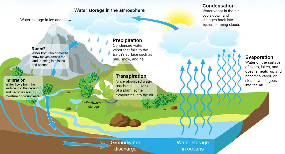 water-resources---the-water-cycle