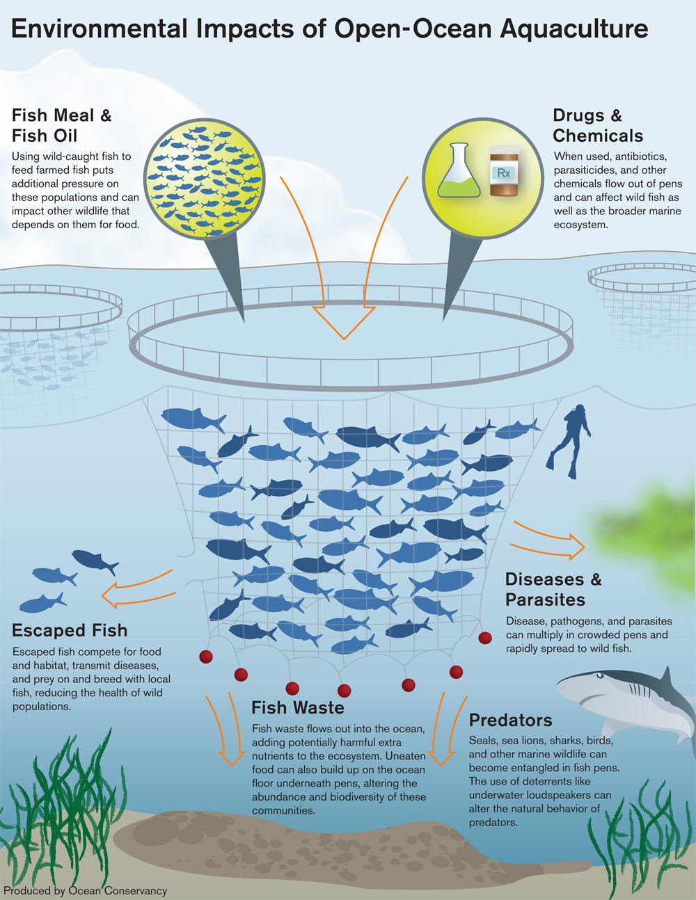 Overfishing – Aquascript